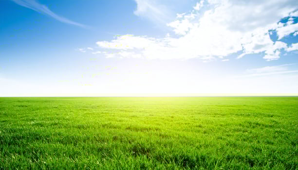 Minimal Open Grass Field With Soft Sunlight Isolated Horizon Line Calm Serene Atmosphere photo