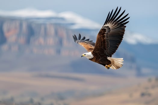 A majestic eagle soaring gracefully against a backdrop of mountains and clear sky. photo