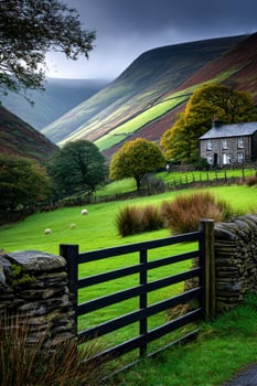 Rural landscape with sheep near farmhouse photo