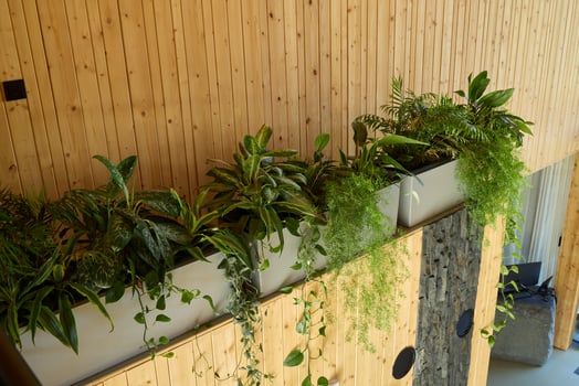 A Beautiful Lush Indoor Planter Filled with Various Types of Green Plants to Enhance Spaces photo