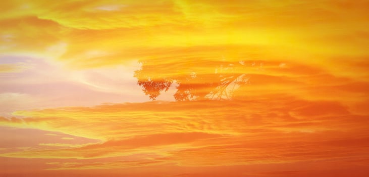Vibrant orange and yellow sky with silhouetted tree branches photo