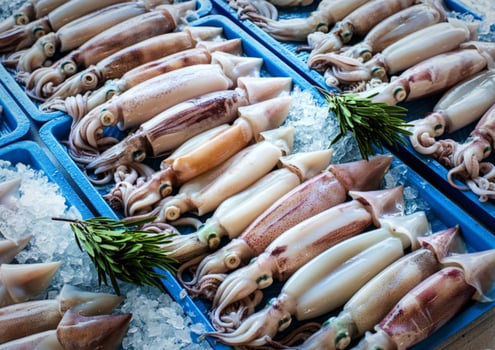 Squid at the market photo