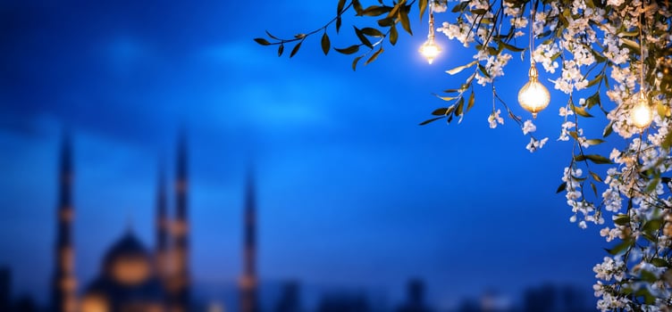 Night blossoms, mosque backdrop, twilight scene photo
