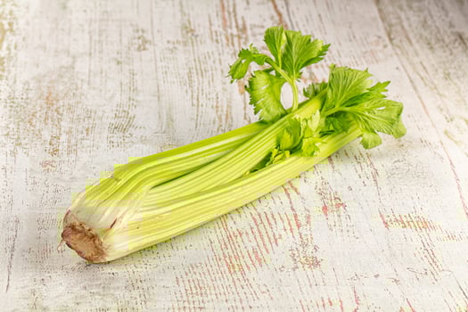 A celery root on a white wooden table photo