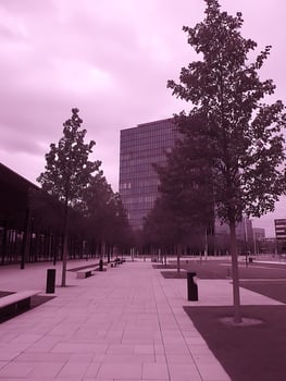 Modern Office Building Plaza with Trees and Benches under a Purple Sky. A serene cityscape scene perfect for corporate or architectural design projects. photo