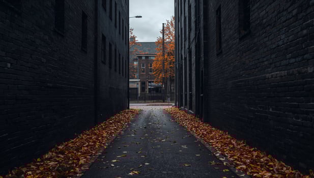 Alleyway with autumn leaves photo
