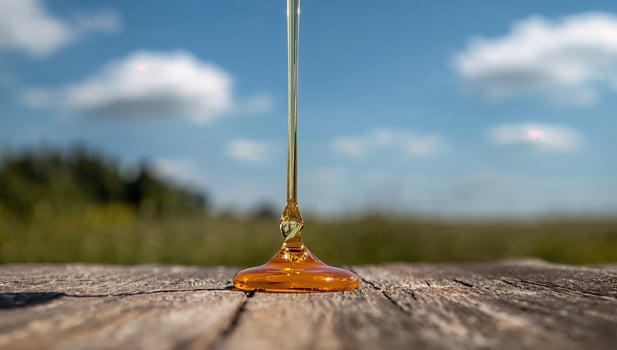 Honey droplet on wooden surface photo
