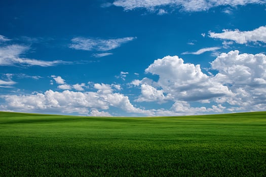 Vast Green Field Under Bright Blue Sky with Fluffy White Clouds on a Sunny Day photo