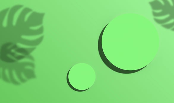 Geen circles of different sizes with shadows are located on a green background. Shadows from monstera leaves are on the edges. 3D rendering illustration photo