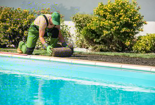 Gardener Installing Grass Rolls Around a Swimming Pool on a Sunny Day photo