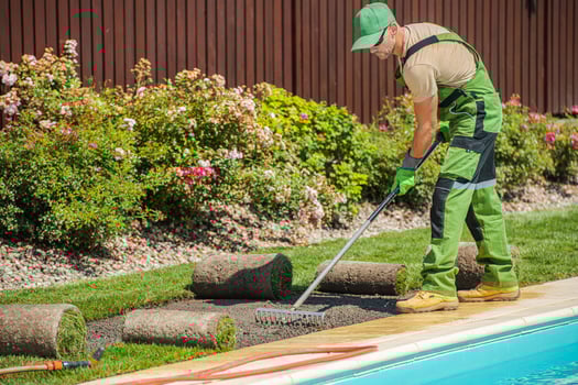 Caucasian Gardener Laying Sod Beside Swimming Pool in Sunny Backyard Landscape photo