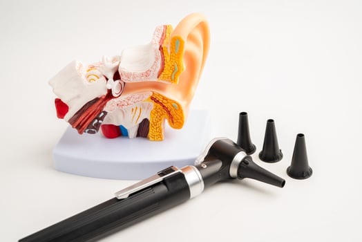 Otoscope with model for audiologist or ENT doctor use otoscope checking ear and treat hearing loss problem. photo