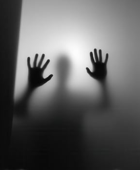 A person's hands are seen through a door photo
