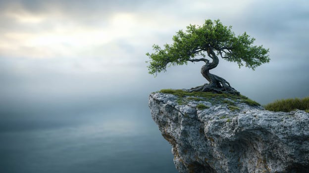 A tree growing on top of a cliff photo