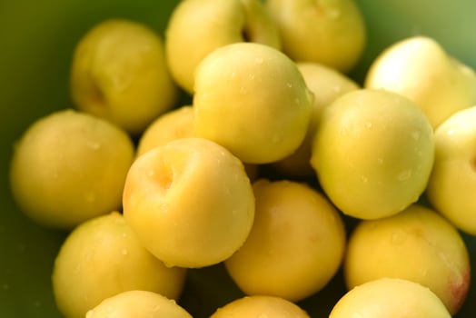 A ripe yellow plum in a green basin. Juicy fruit. Ripe plums in drops of water. photo