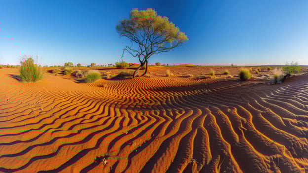Desert landscape with sand dunes and lone tree under blue sky photo