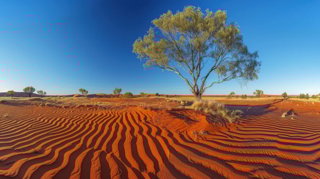 Lonely tree in desert landscape under a clear blue sky photo