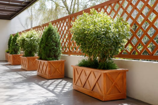 Ornamental plants growing in wooden planters decorating a terrace photo
