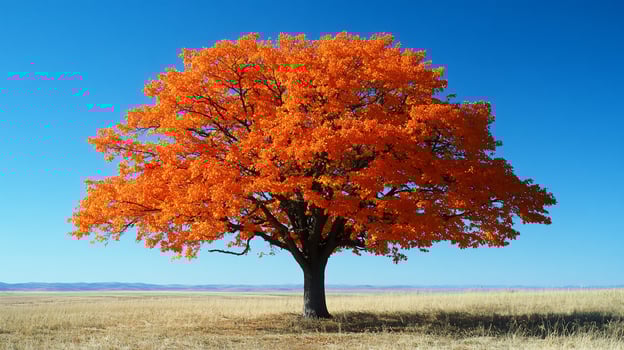 A large tree in the middle of a field photo