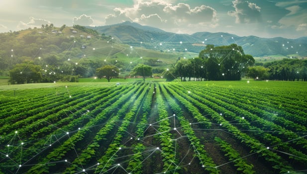 Agricultural field with digital network data overlay on green crops farm landscape photo