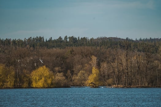 A wide shot captures a tranquil lake scene with a distant shoreline covered in dense forest photo