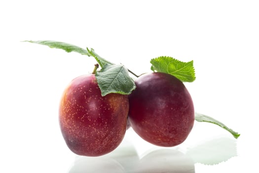 Ripe red plums and green leaves on a white background photo