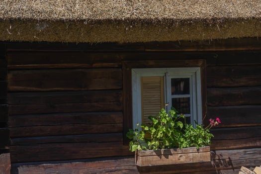 Wooden house with a thatched roof and flower-filled window box photo