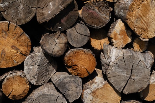 Stacked wooden logs in various shapes and textures, outdoors under sunlight photo