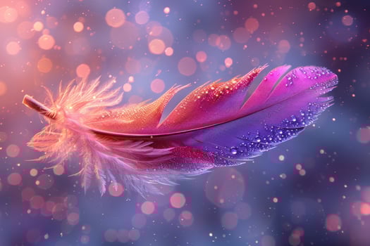 A single pink and purple feather with water droplets, set against a bokeh background of pink and orange. photo
