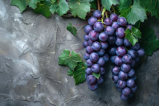 Closeup of two bunches of ripe red grapes with green leaves on a gray textured background. photo