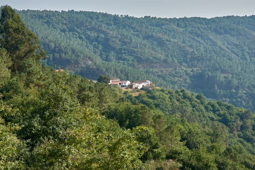 Traditional Galician village surrounded by green mountains and forests, seen from the Pesqueiras Viewpoint in Galicia, Spain photo