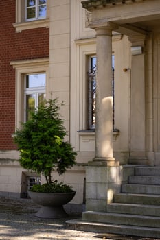 Charming entrance of elegant historic building with decorative stone columns, stylish potted evergreen tree and soft natural light. Cozy outdoor atmosphere, home decor and architectural details photo