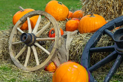 Rustic autumn composition with wooden wagon wheels, bright orange pumpkins, hay bales, and burlap sacks on green grass, evoking a cozy fall harvest atmosphere and traditional countryside charm photo