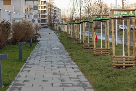 Wroclaw, Poland, December 23, 2024. Newly planted trees along a modern residential sidewalk with protective wooden frames. Environmental sustainability and city planning photo