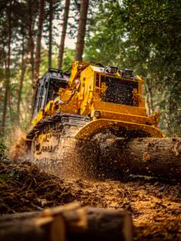 Heavy-duty forestry machine clearing logs in a dense woodland photo
