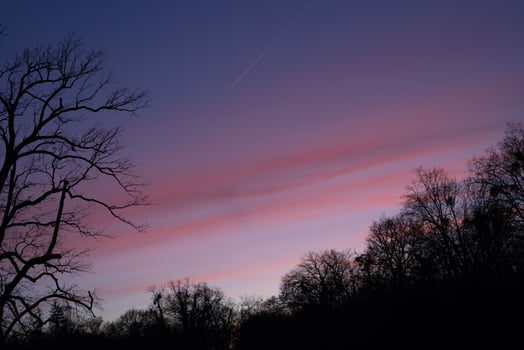 Vibrant sunset over forest silhouette with tree branches outlined against pink and purple sky. Concept of tranquil nature, peaceful evening, and scenic landscape in autumn photo