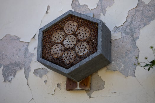 Hexagonal insect hotel mounted on an old rustic wall with peeling paint on a sunny day. Concept of supporting biodiversity, natural habitats, and eco-friendly gardening photo