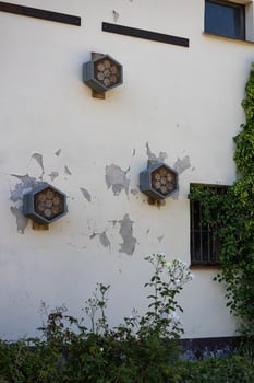 Three hexagonal insect hotels attached to a rustic wall with peeling paint and climbing plants on a sunny day. Concept of biodiversity support, sustainable gardening, and insect habitats photo