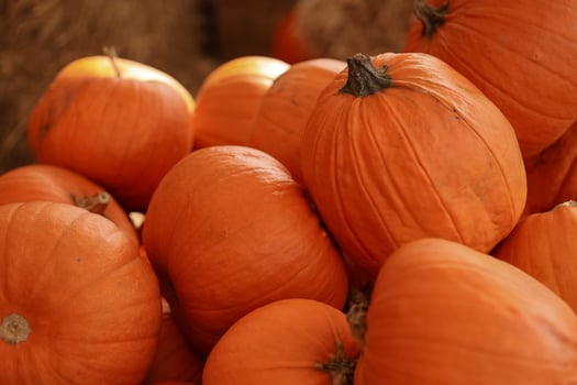 Close-up shot of bright orange pumpkins piled together with warm sunlight, highlighting textures and autumn harvest ambiance. Concept of fall farming, seasonal food, and festive Halloween decorations photo