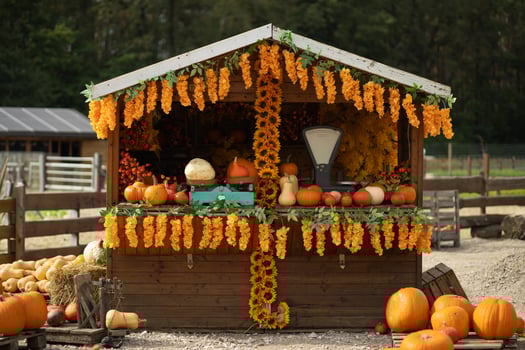 Rustic autumn farm stand with pumpkins and gourds on display, decorated with vibrant orange flowers and vintage weighing scale. Harvest season, traditional farming and rural lifestyle photo
