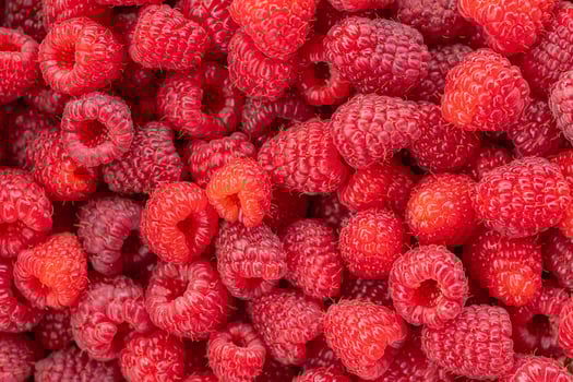 Fresh ripe raspberries in a close-up shot, showcasing their vibrant red color and juicy texture. Concept of organic farming, healthy eating, and summer harvest photo