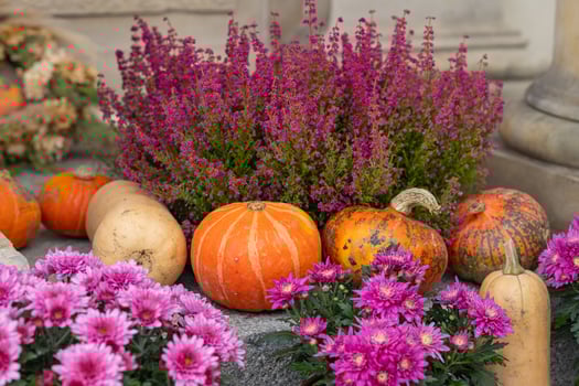 Bright autumn harvest pumpkins with vibrant pink flowers and heather on a decorative outdoor display. Concept of fall season, harvest celebration and seasonal home decor photo