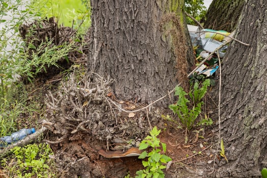 Environmental pollution, litter and plastic waste trapped between tree trunks in a natural landscape. Environmental damage, pollution and the impact of human activities on nature photo