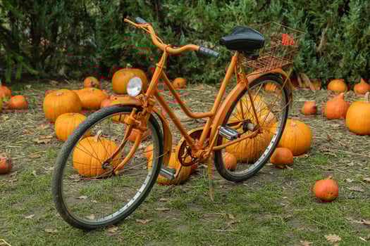 Vintage orange bicycle parked among pumpkins in autumn garden on a sunny day. Concept of seasonal harvest, fall outdoor decorations, and rustic countryside lifestyle photo
