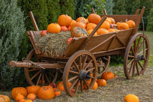 Old wooden wagon filled with pumpkins and hay during autumn harvest festival. Concept of rustic fall decorations, seasonal celebration, and traditional countryside farming photo