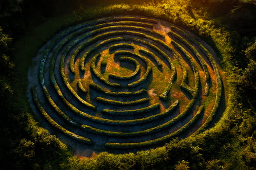 Enchanted forest maze with intricate winding pathways in lush greenery photo