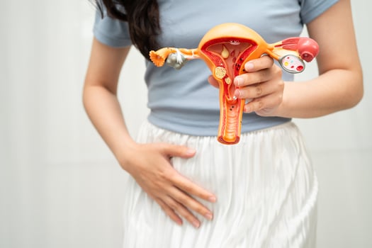Uterus, Asian, woman holding anatomy photo