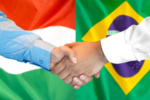 handshake on Hungary and Brazil flag background. photo