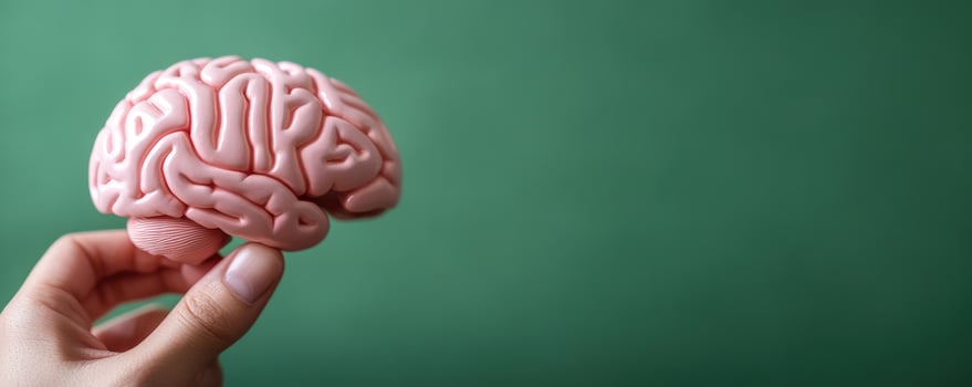 Understanding the Human Brain A Closeup View of a Pink Brain Model Held Gently in a Hand Against a Teal Background photo