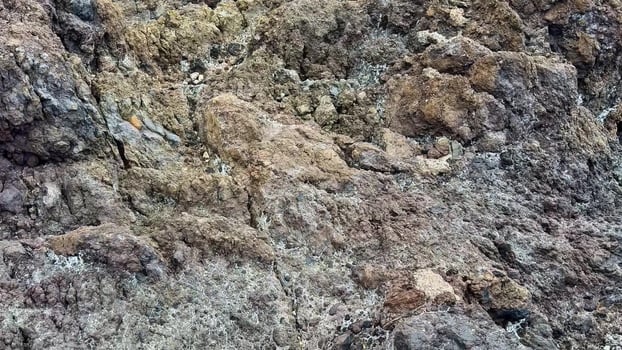 The Textured Rock Surface Appears Intriguing When Observed from Various Distinct Angles photo